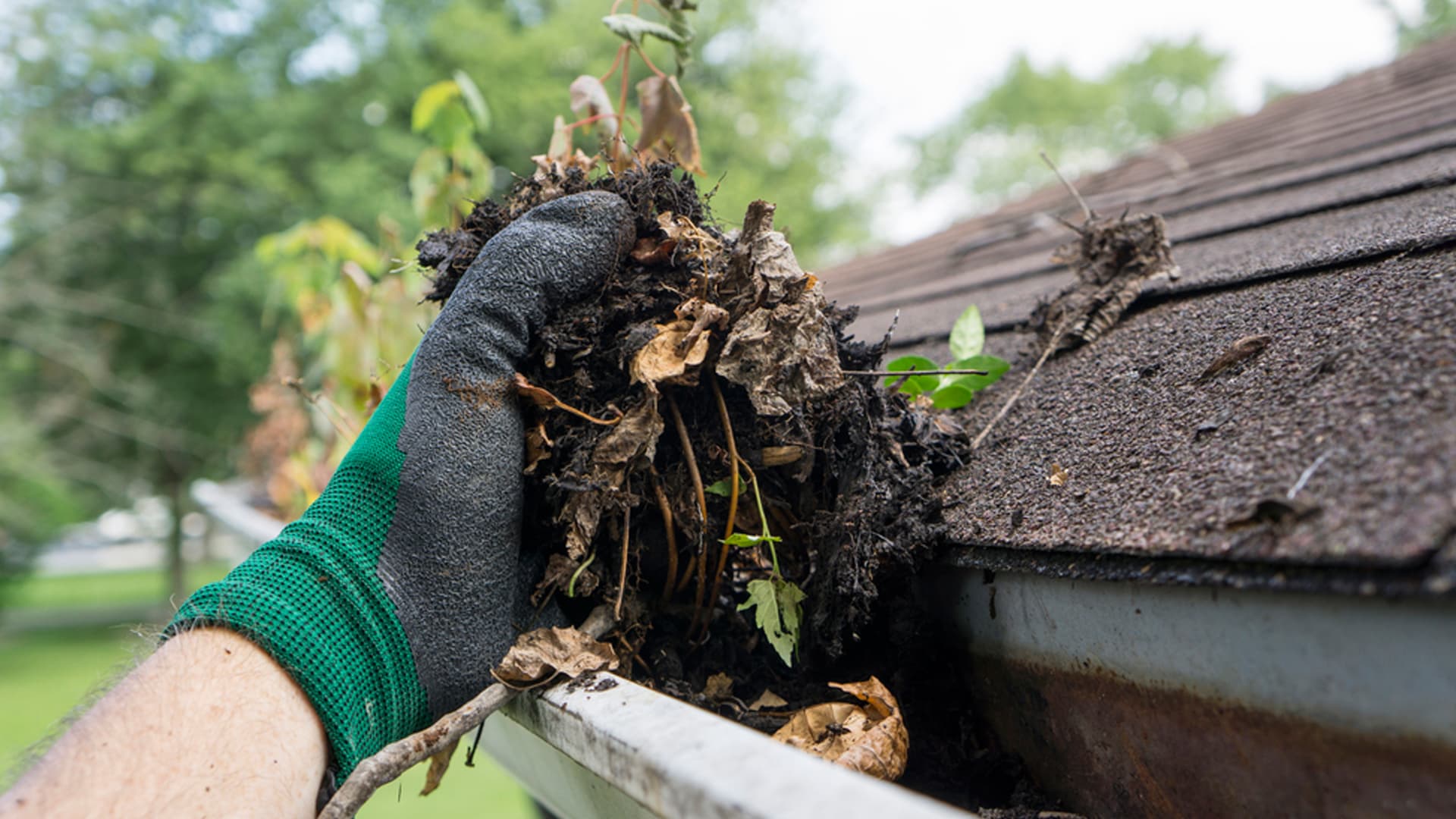 Gutter Cleaning