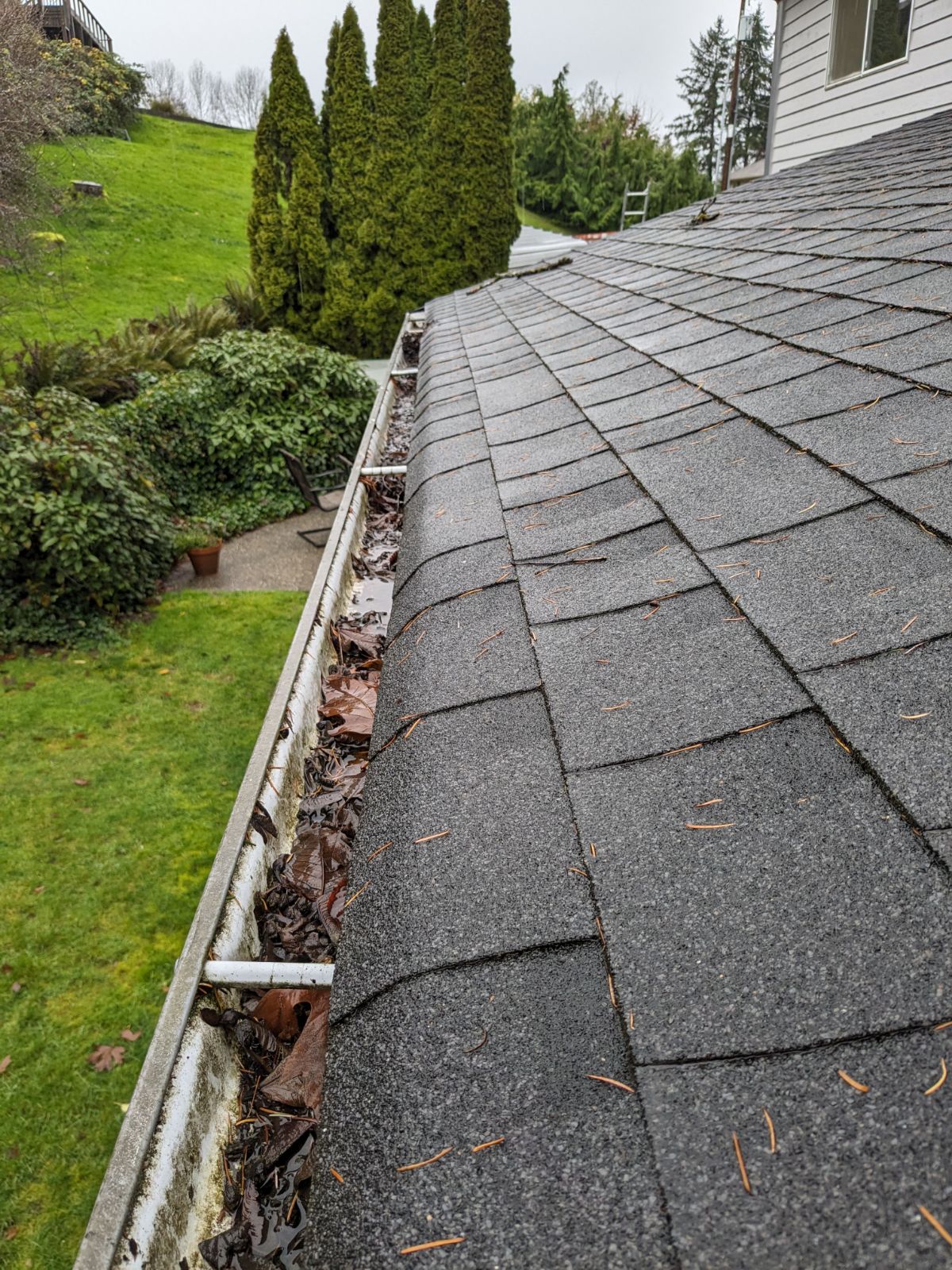 Platinum Pressure Quality Gutter Cleaning Service in Port Orchard WA