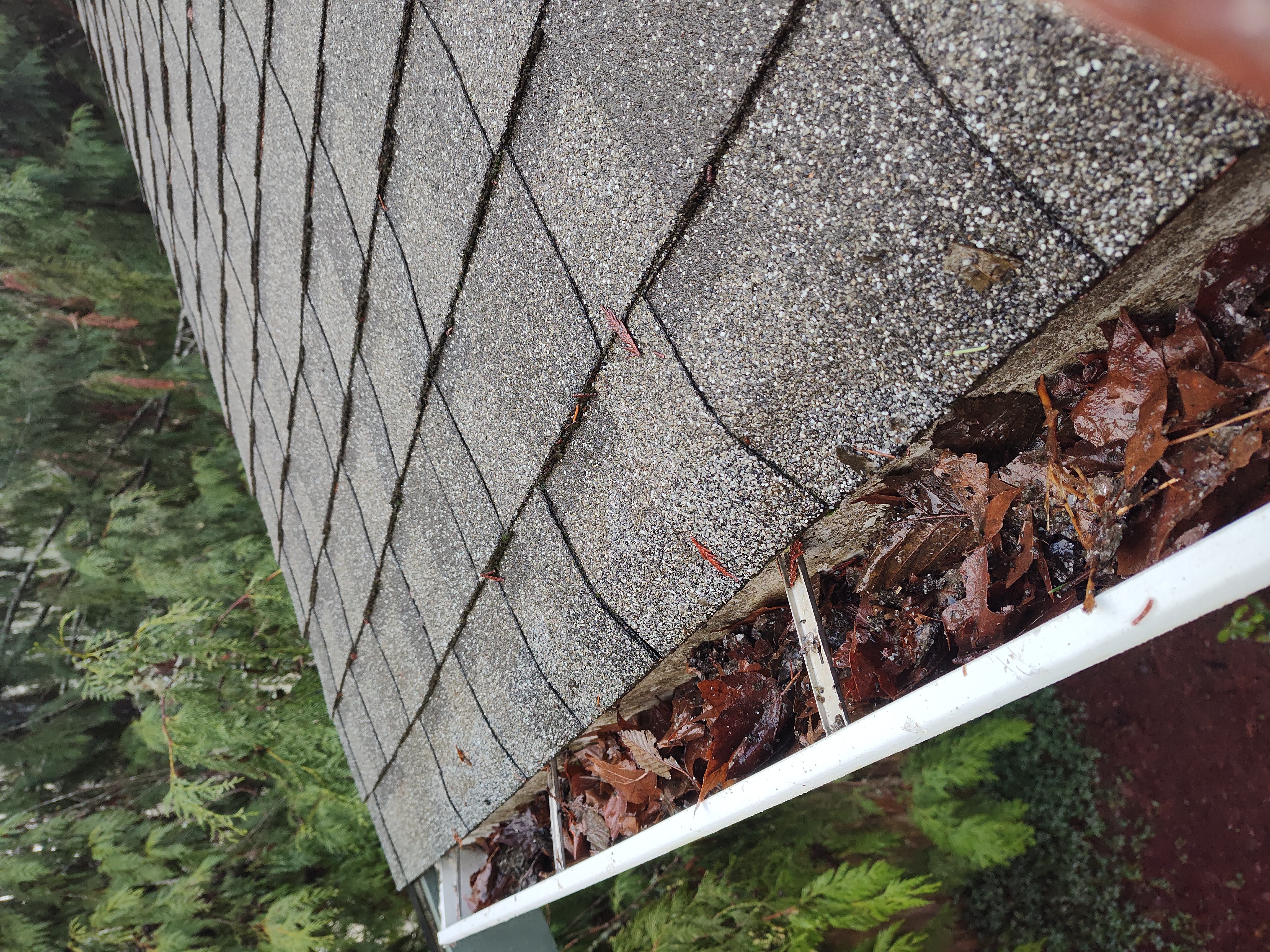 Professional Gutter Cleaning in Silverdale WA