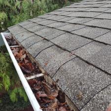 Professional-Gutter-Cleaning-in-Silverdale-WA 1