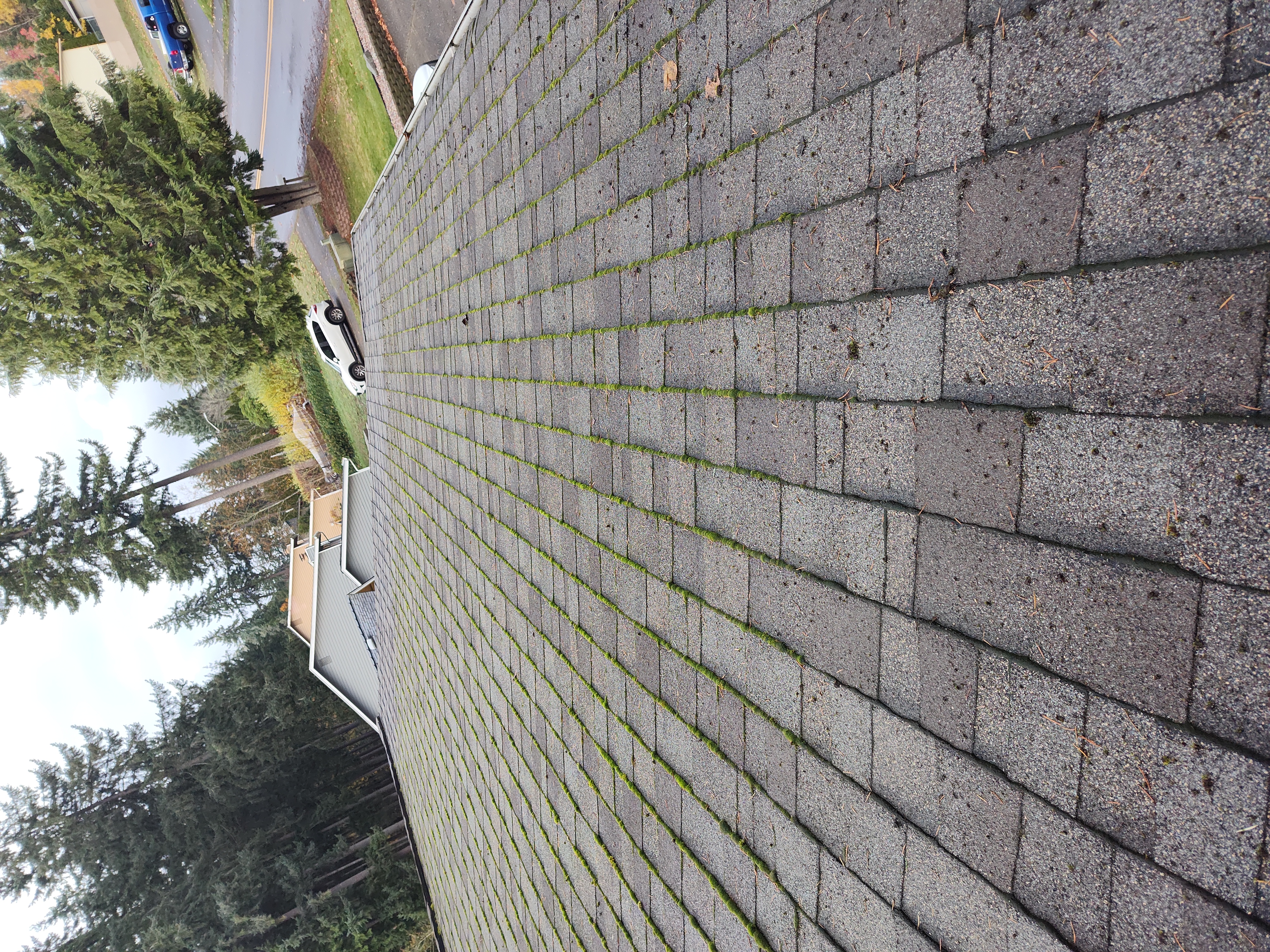 Top Quality Gutter Cleaning in Port Orchard WA (1)