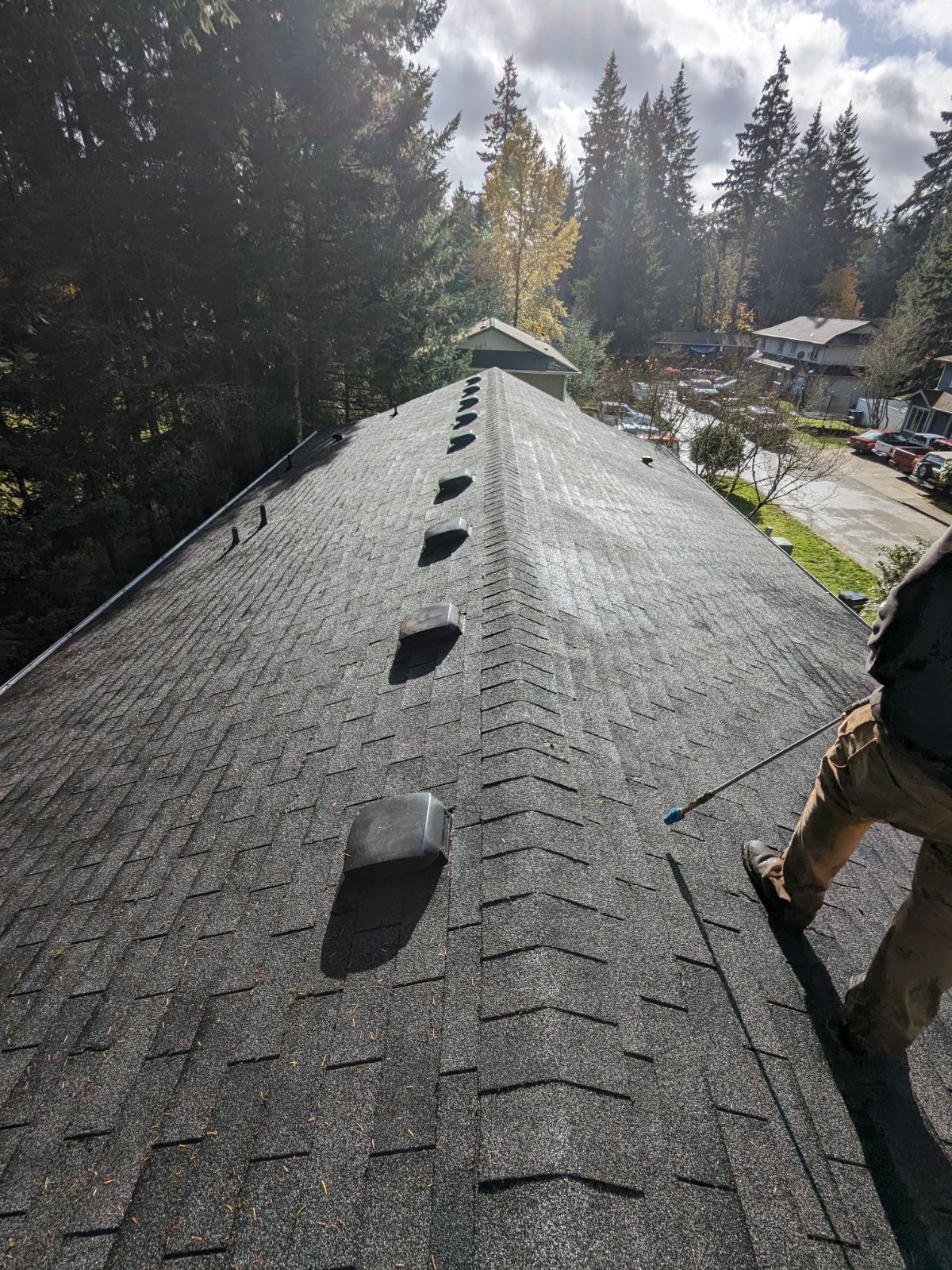 Top quality Roof Cleaning in Port Orchard WA