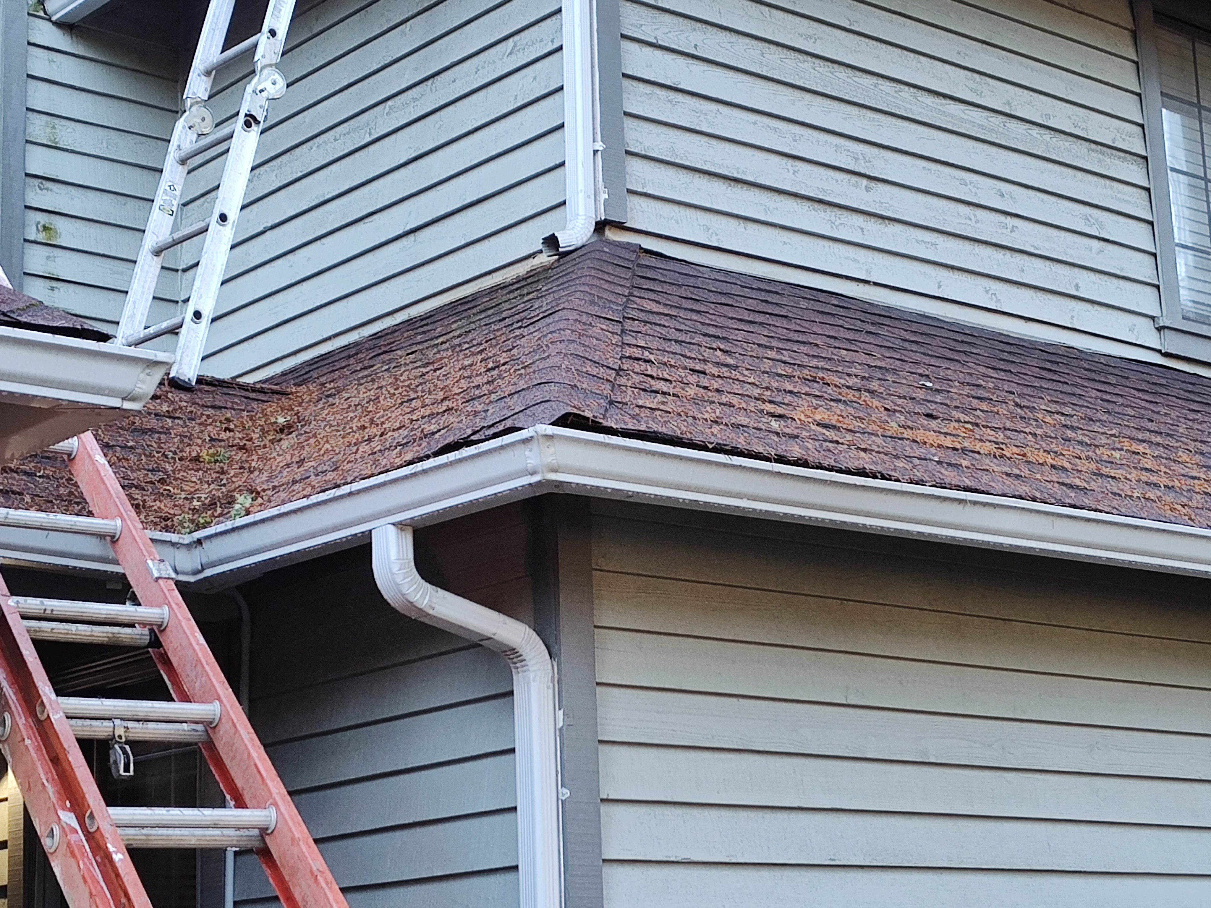 Top Quality roof cleaning in Silverdale WA