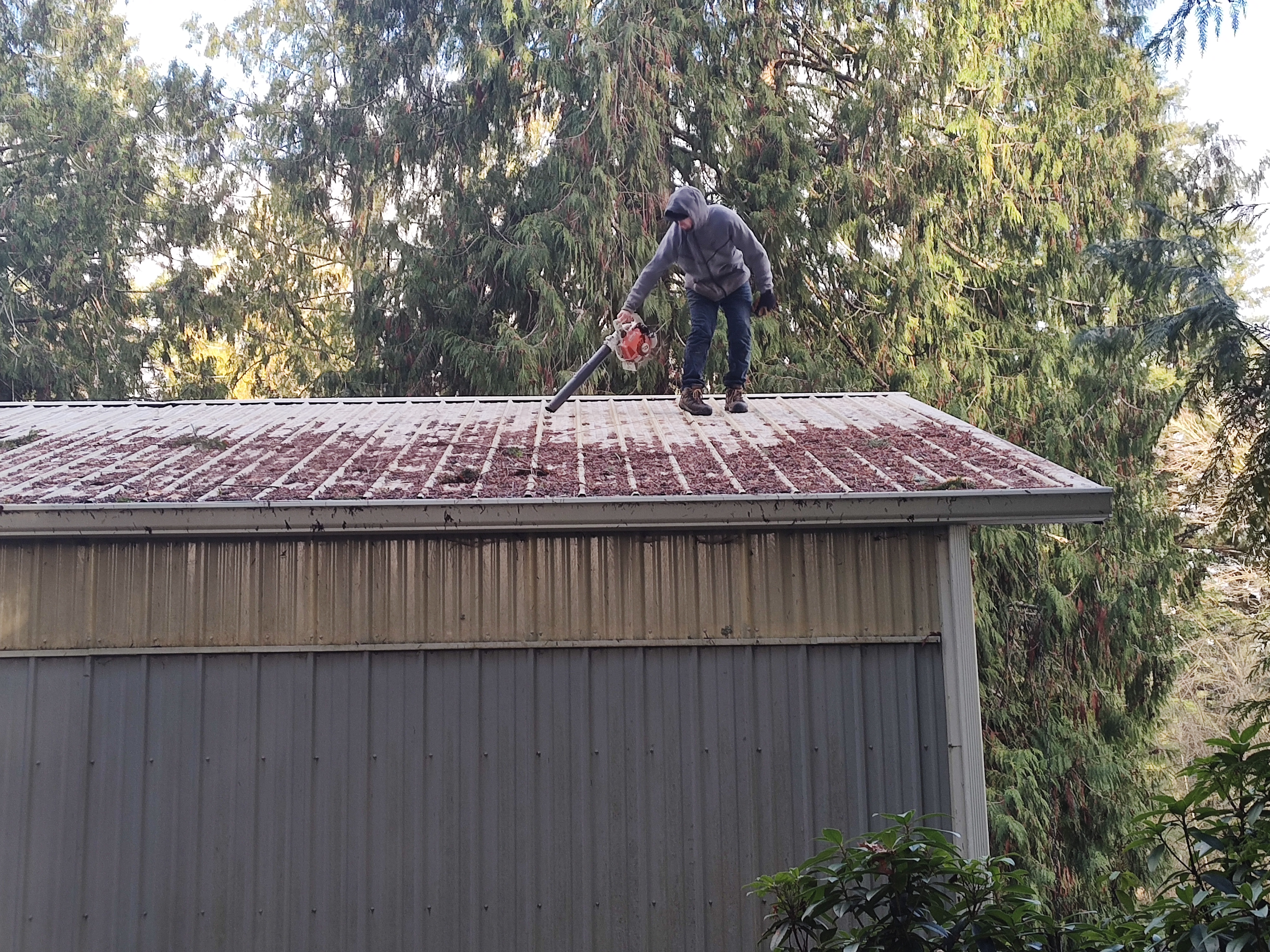 Top quality Roof cleaning in Port Orchard WA (2)