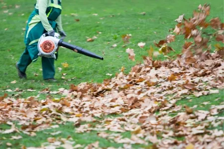 Seasonal Lawn Cleanup